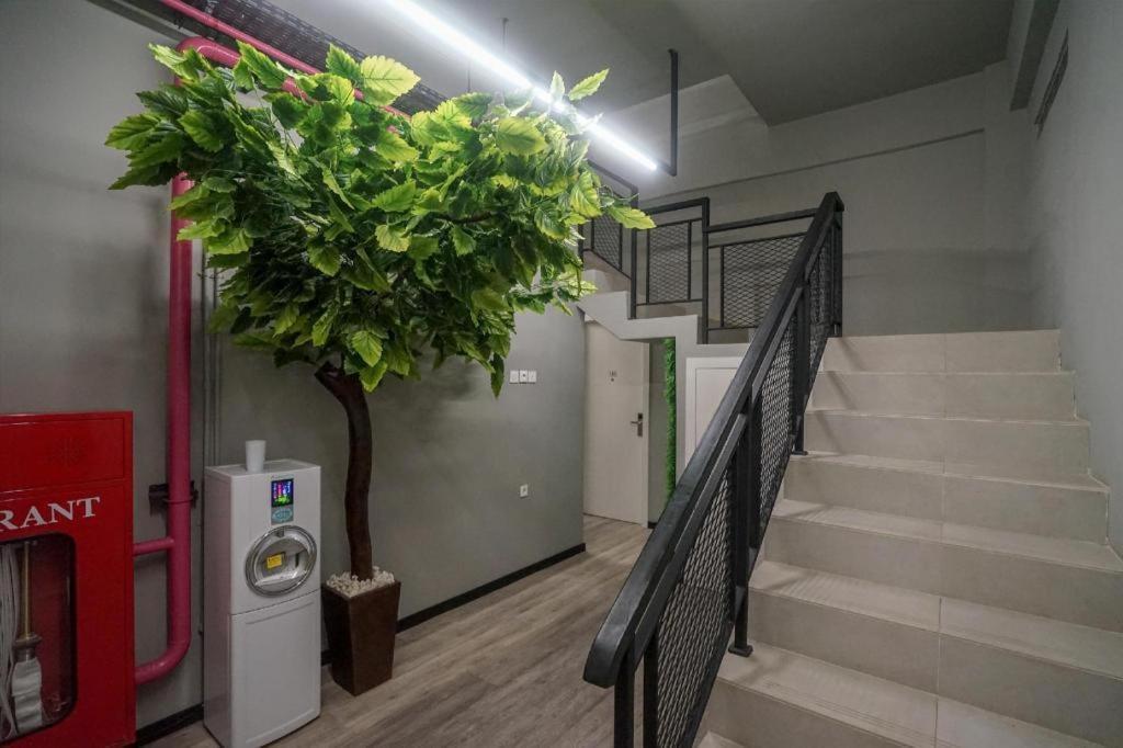 Oyo 568 Rajawali Homestay Palembang Bagian luar foto
